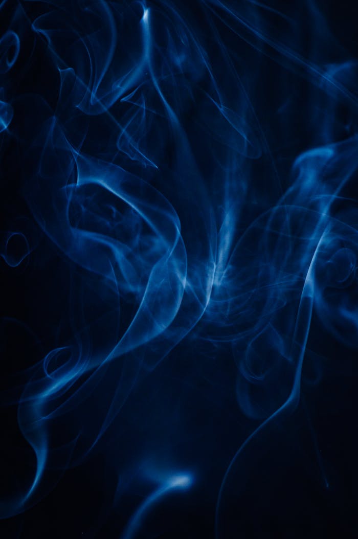 Home Pexels Photo 7058255